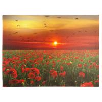 NEXOS Falikép mákvirágok  1 LED 30 x 40 cm